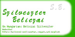 szilveszter beliczai business card